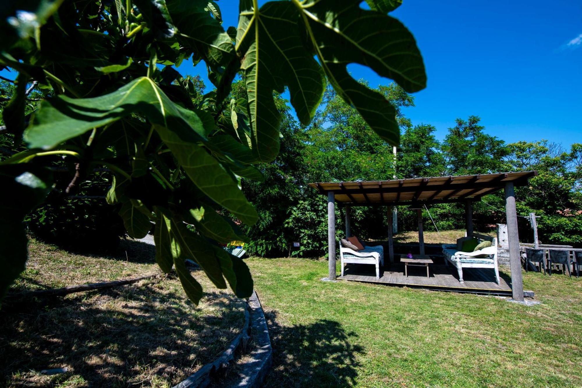 211 - Appartamento Acacia, Terrazza Giardino E Piscina Carro Bagian luar foto