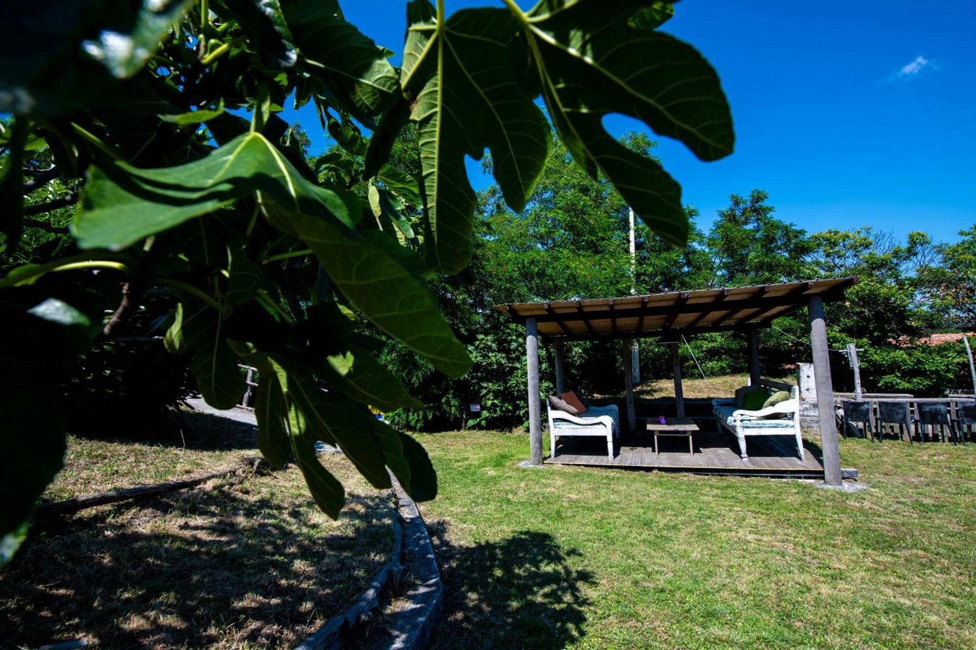 211 - Appartamento Acacia, Terrazza Giardino E Piscina Carro Bagian luar foto